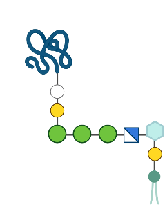 GPI-anchored protein