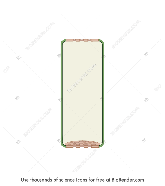 Free Sieve element Icons, Symbols & Images BioRender