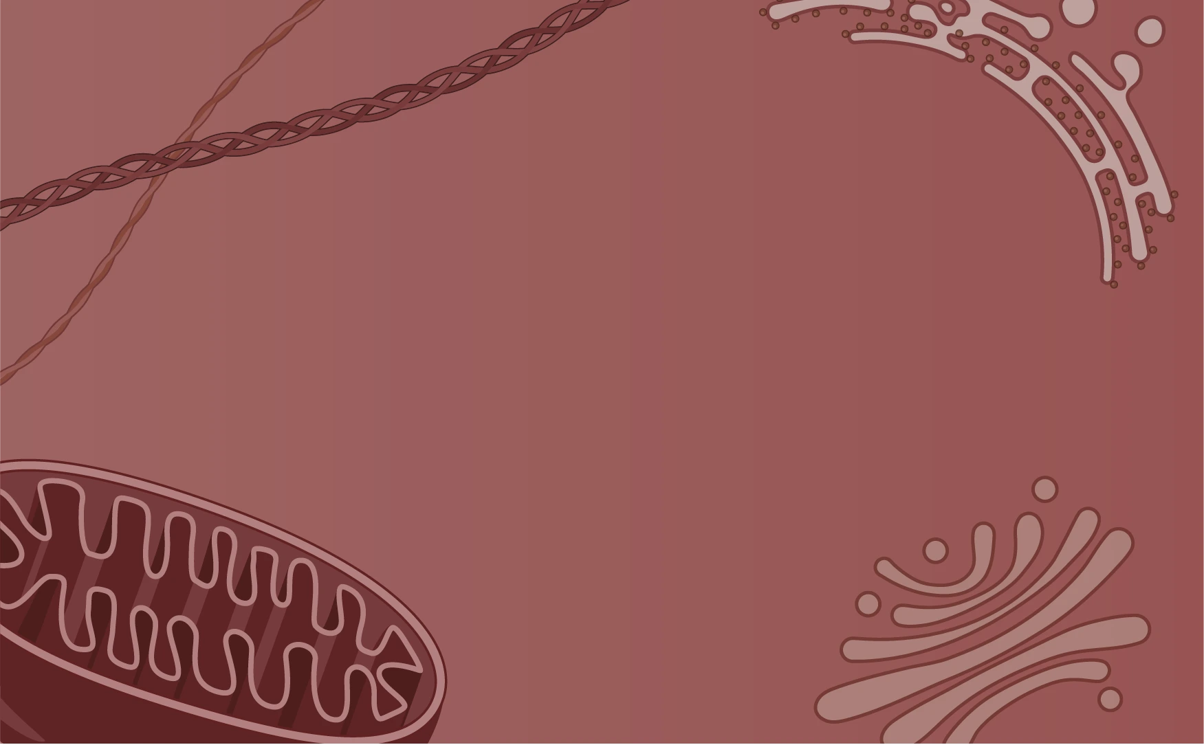 Free Life Science Icons | BioRender