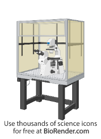 Free Electrophysiology rig Icons, Symbols & Images | BioRender