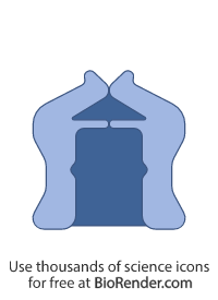 Free Type 2 secretion system (GspD) Icons, Symbols & Images | BioRender