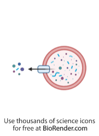 Autophagy visual data 2