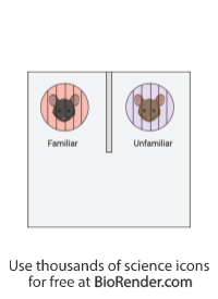 Free Mouse (social novelty preference test) Icons, Symbols & Images ...