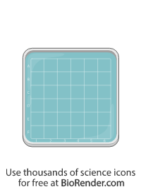 Free Petri dish (square, with grid) Icons, Symbols & Images | BioRender