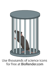 Free Rodent cage (cylindrical, with mouse) Icons, Symbols & Images ...