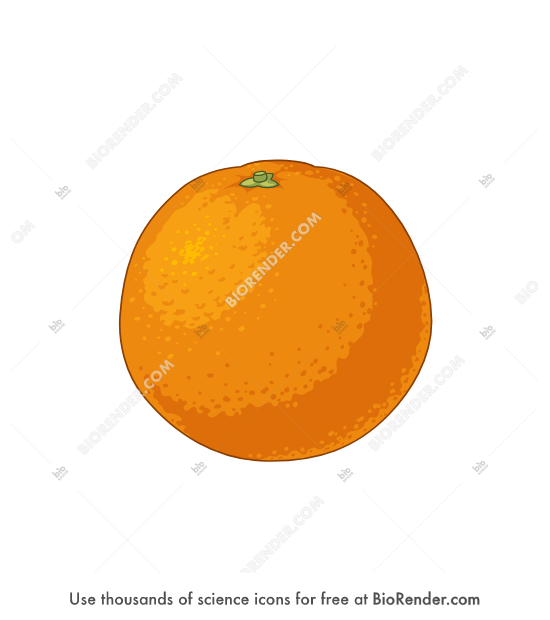 Free Orange Icons Symbols Images BioRender