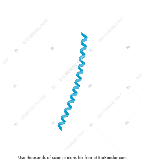 Free Alpha helix (curved) 2 Icons, Symbols & Images | BioRender