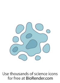 Free Lymphocyte (B-cell, apoptosis) Icons, Symbols & Images | BioRender