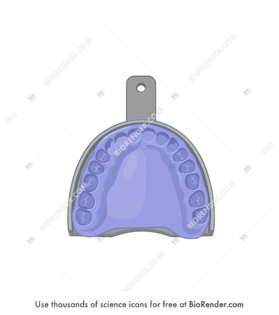 Free Dental impression (upper arch) Icons, Symbols & Images BioRender