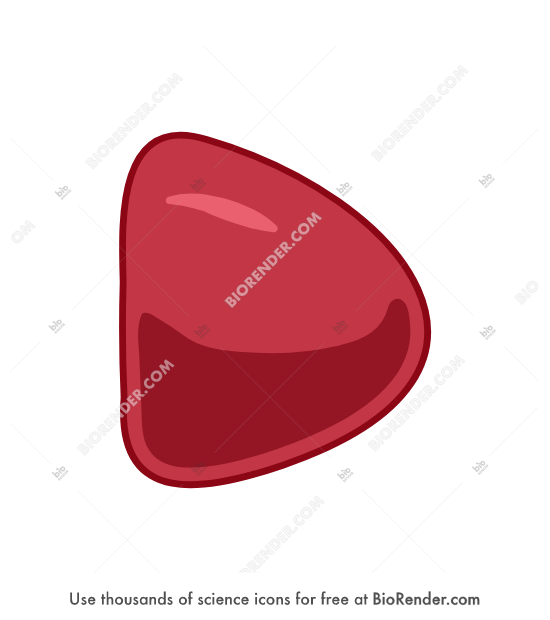Free Red blood cell (bullet) Icons, Symbols &amp; Images | BioRender