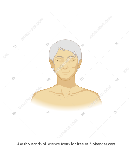 Free Jaundice (elderly) Icons, Symbols & Images BioRender