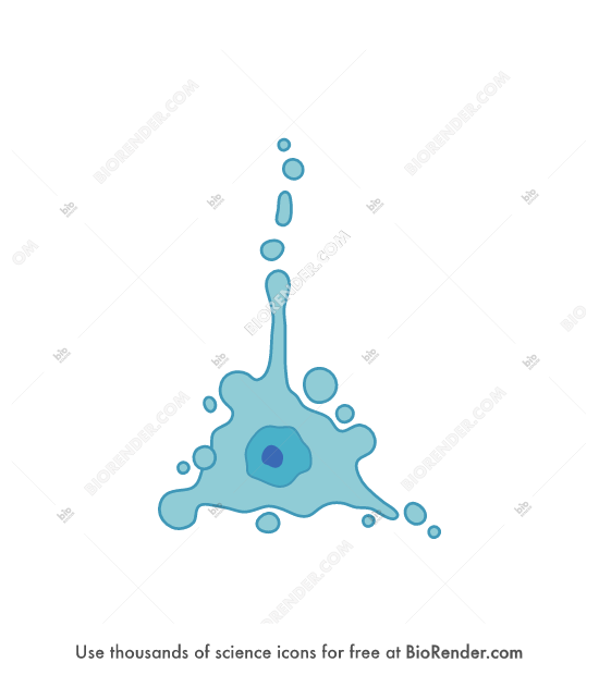 Free Neuroblastoma (SH-SY5Y, apoptosis, blebbing) Icons, Symbols ...