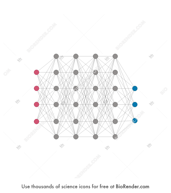 Free Deep learning neural network Icons, Symbols & Images | BioRender