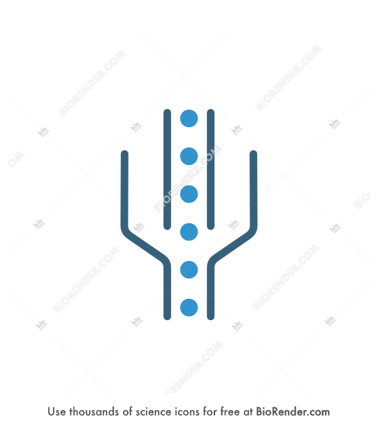 Free Flow cytometry (symbol) Icons, Symbols & Images | BioRender
