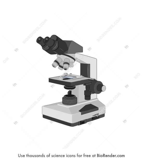 Free Binocular light microscope (with slide) Icons, Symbols & Images BioRender