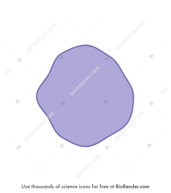 Free Cell shape 2 Icons, Symbols & Images | BioRender