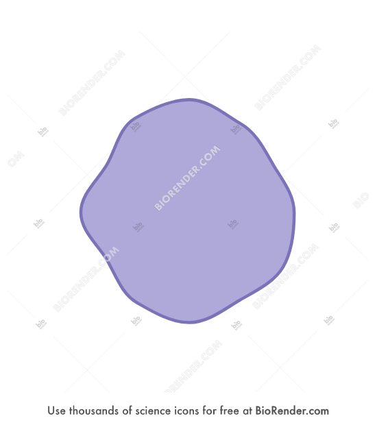 Cell shape 2 - Editable icon of a generic, irregular cell shape