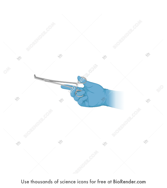 Free Hand (gloved, holding forceps) Icons, Symbols & Images BioRender