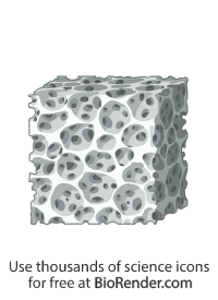 Free Macroporous scaffold 3D (large pores) Icons, Symbols & Images ...