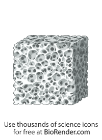 Free Macroporous scaffold 3D (small pores) Icons, Symbols & Images ...