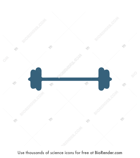 Free Barbell (symbol) Icons, Symbols & Images BioRender
