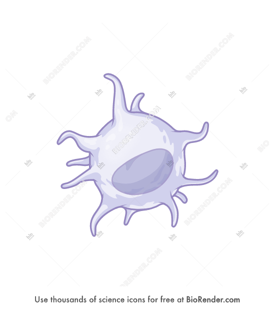 Free Dendritic cell (3D) Icons, Symbols & Images | BioRender