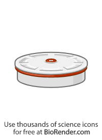 Free Centrifuge bottle insert Icons, Symbols & Images | BioRender