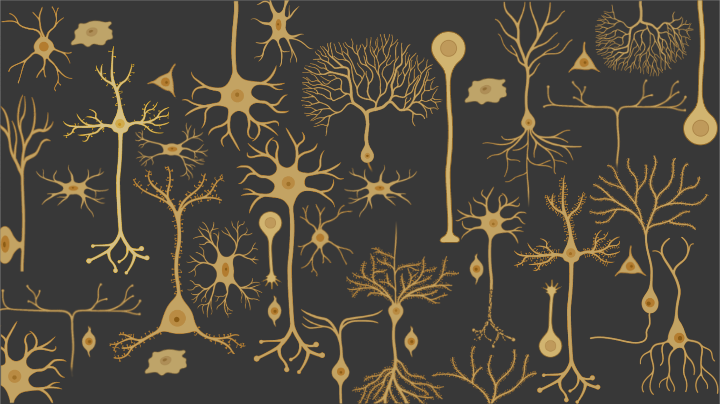 Virtual Background - Neurons | BioRender Science Templates