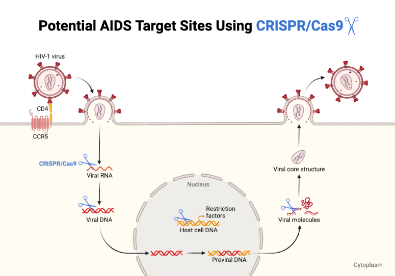 Potential AIDS Target Sites Using CRISPR/Cas9 | BioRender Science Templates