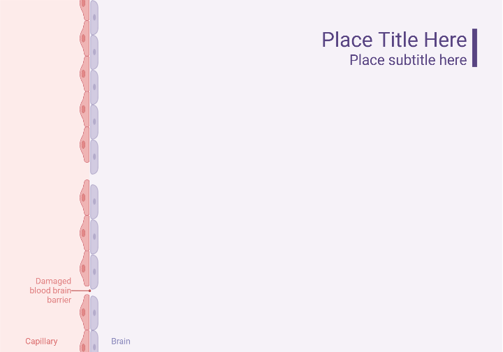 Damaged Blood Brain Barrier Background Layout Biorender Science