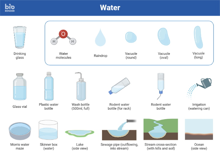 Icon Pack - Water | BioRender Science Templates