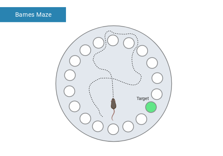 Barnes Maze 2 BioRender Science Templates