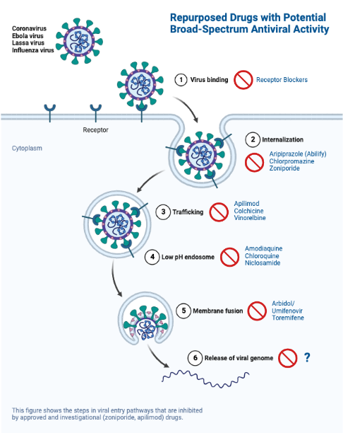 Repurposed Drugs with Broad-Spectrum Antiviral Activity | BioRender ...