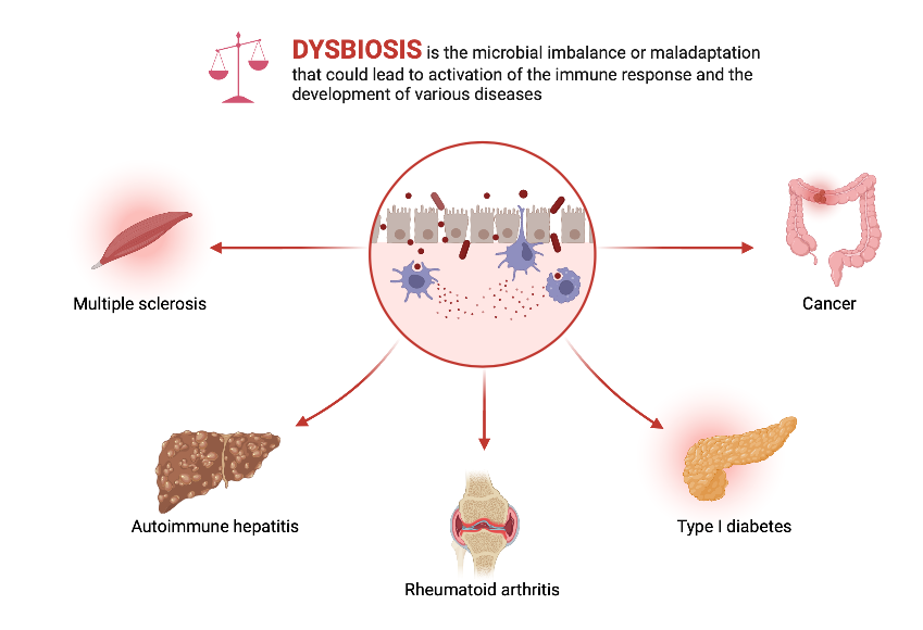 Dysbiosis | BioRender Science Templates