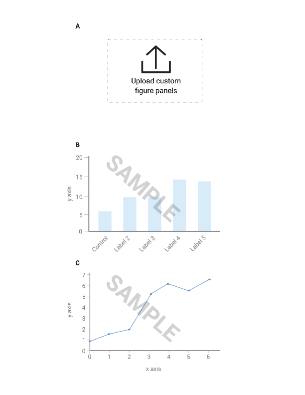 Simple Figure Lab Easy Figure Builder (1x3, with Preset Guides and Labels) | BioRender ...