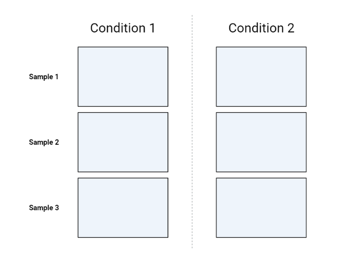 2 Column Comparison (Layout 2x3) | BioRender Science Templates