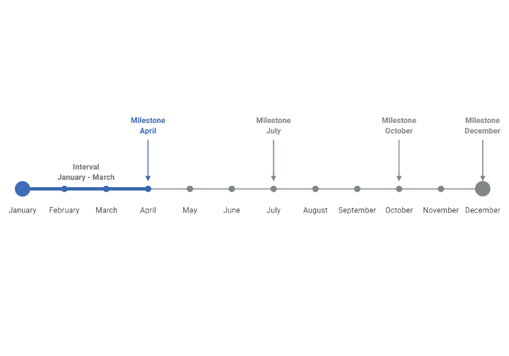 Timeline (12 Segments, Horizontal) BioRender Science Templates