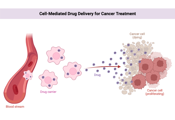 Cell-Mediated Drug Delivery for Cancer Treatment | BioRender Science ...