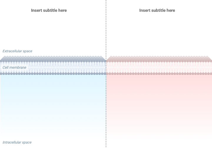 3D Membrane Comparison (Layout, 2x1) | BioRender Science Templates