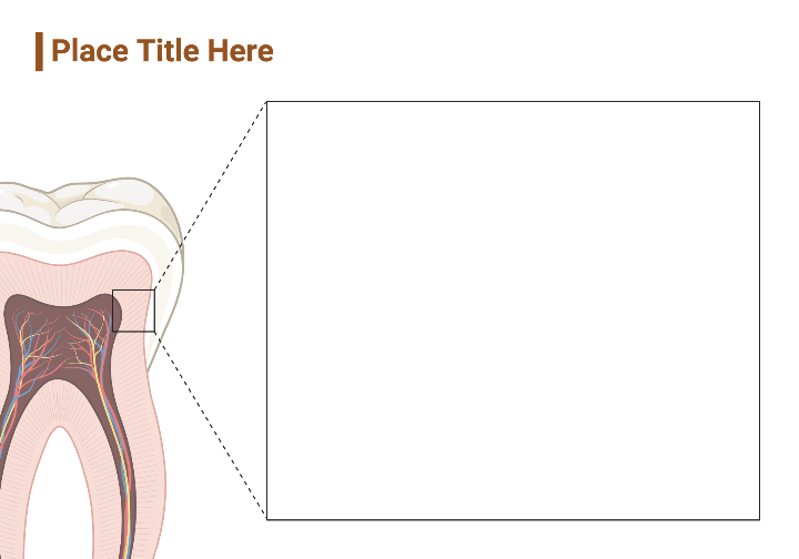 dentin-callout-layout-biorender-science-templates