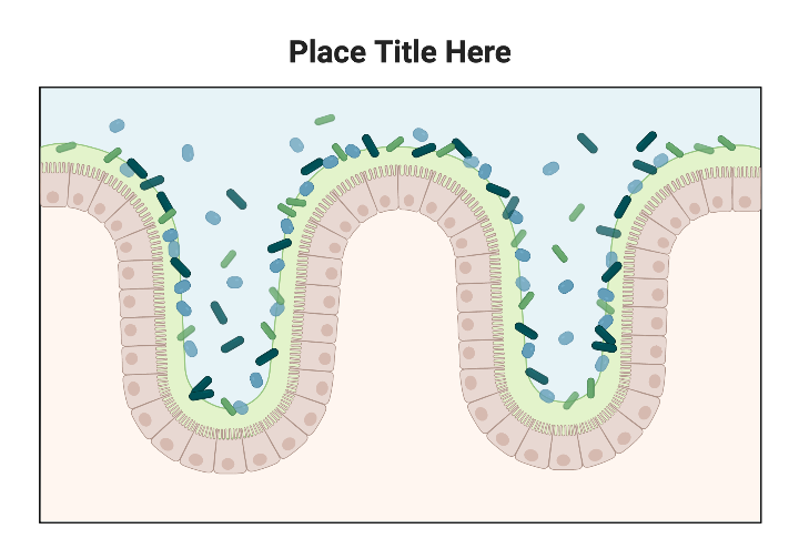 Gut Microbiota (Layout) | BioRender Science Templates