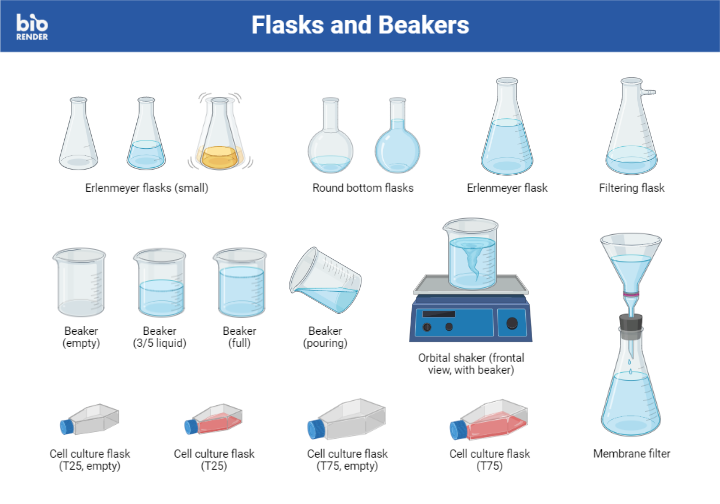 The Difference Between Flasks And Beakers Algae Research, 58% OFF