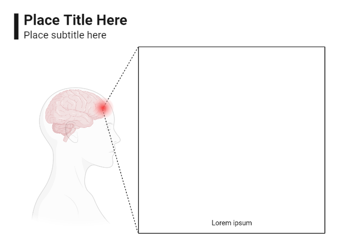 Brain Callout (Human) | BioRender Science Templates