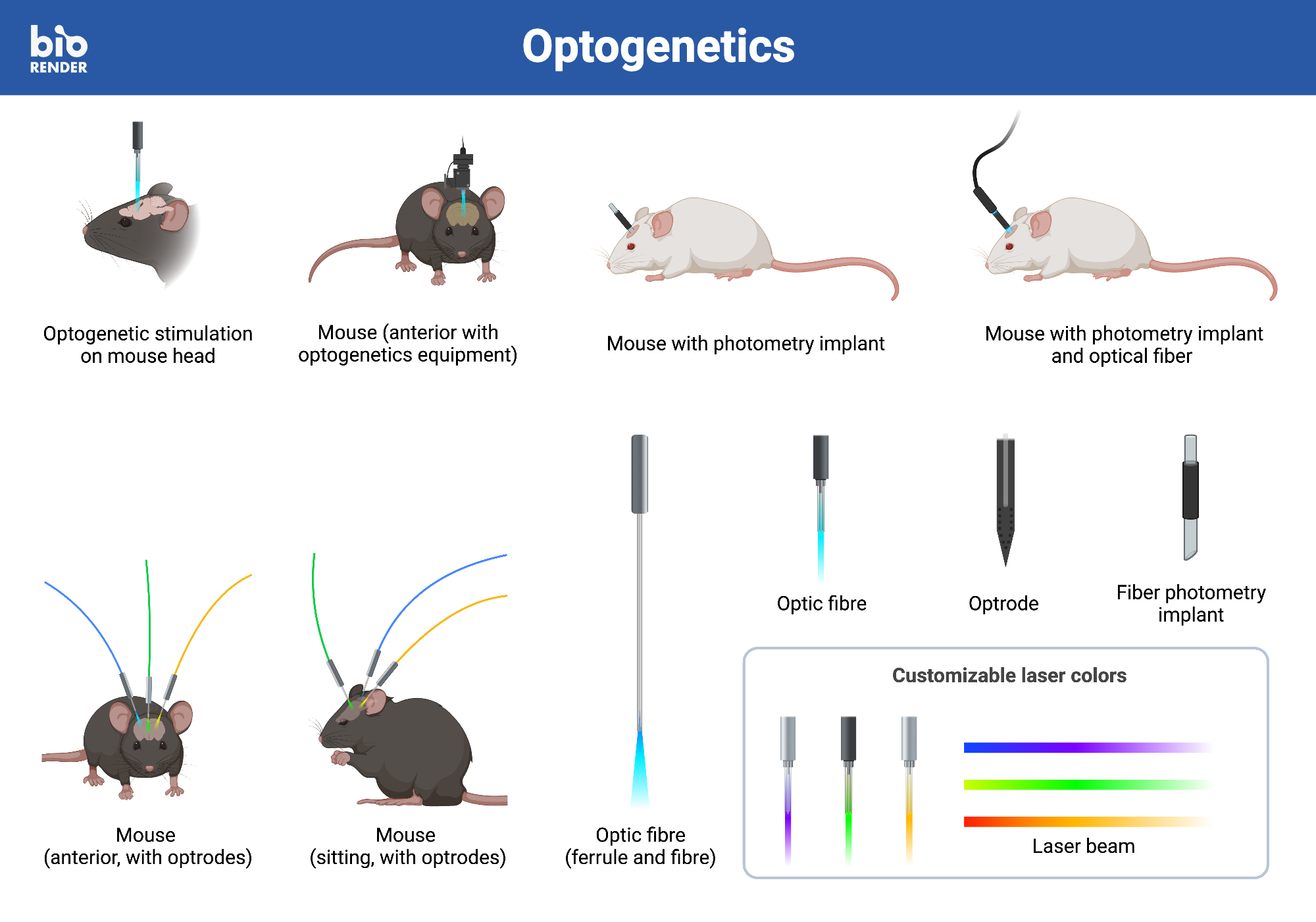 Icon Pack BioRender Science Templates