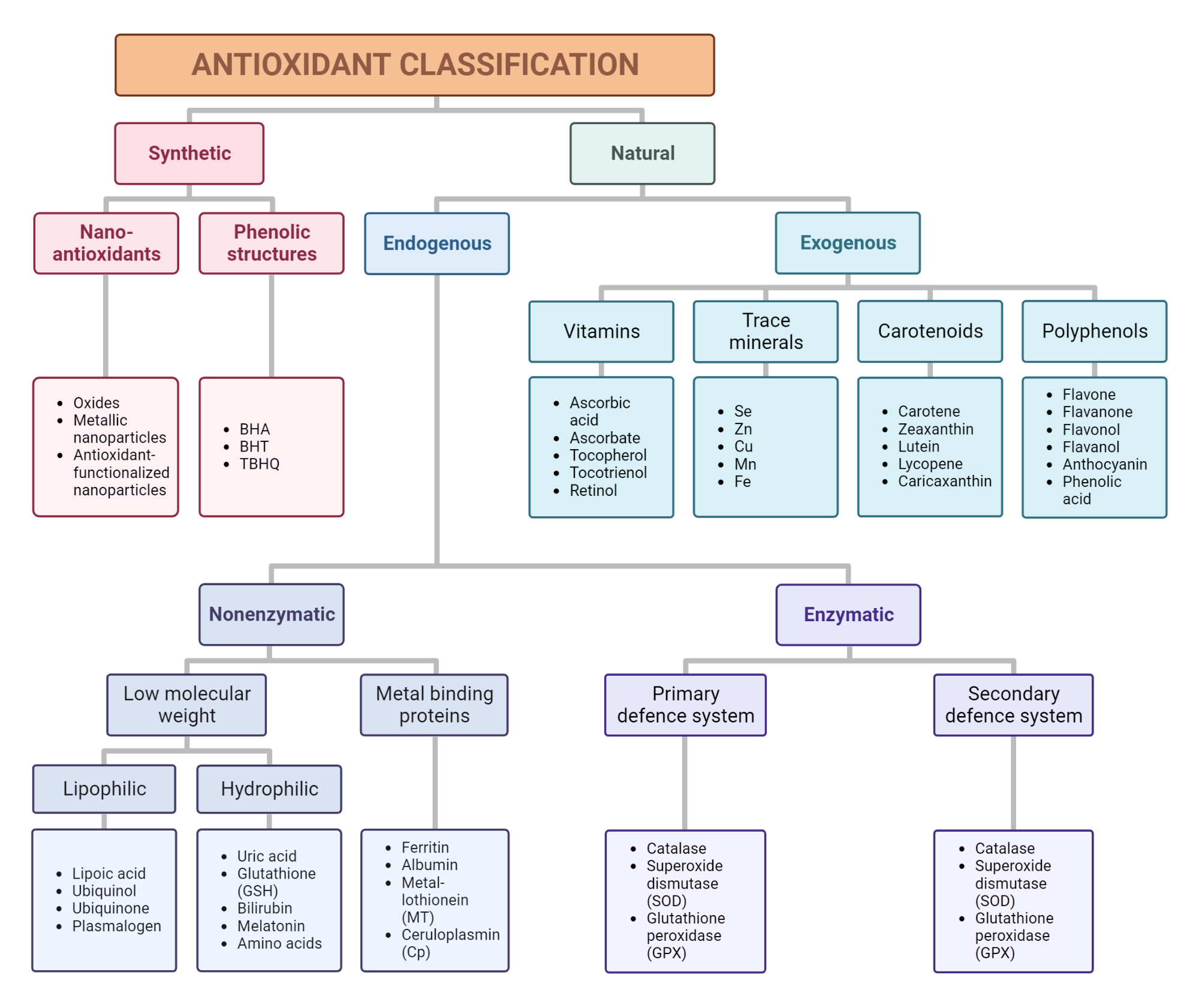 Antioxidant Classification BioRender Science Templates
