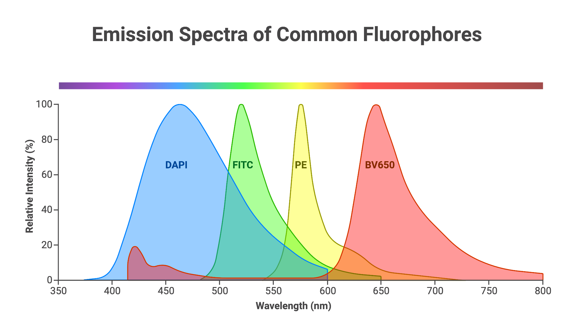 Emission Spectra Of Common Fluorophores BioRender Science Templates