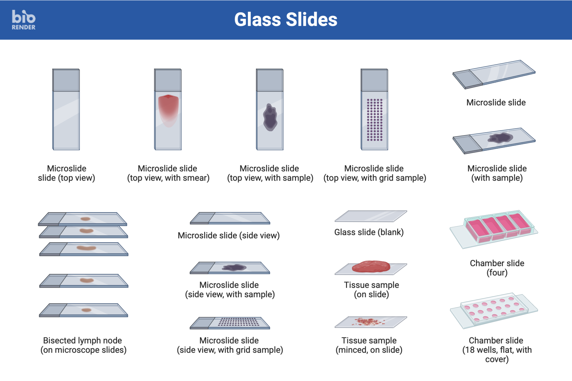 Icon Pack Glass Slides BioRender Science Templates