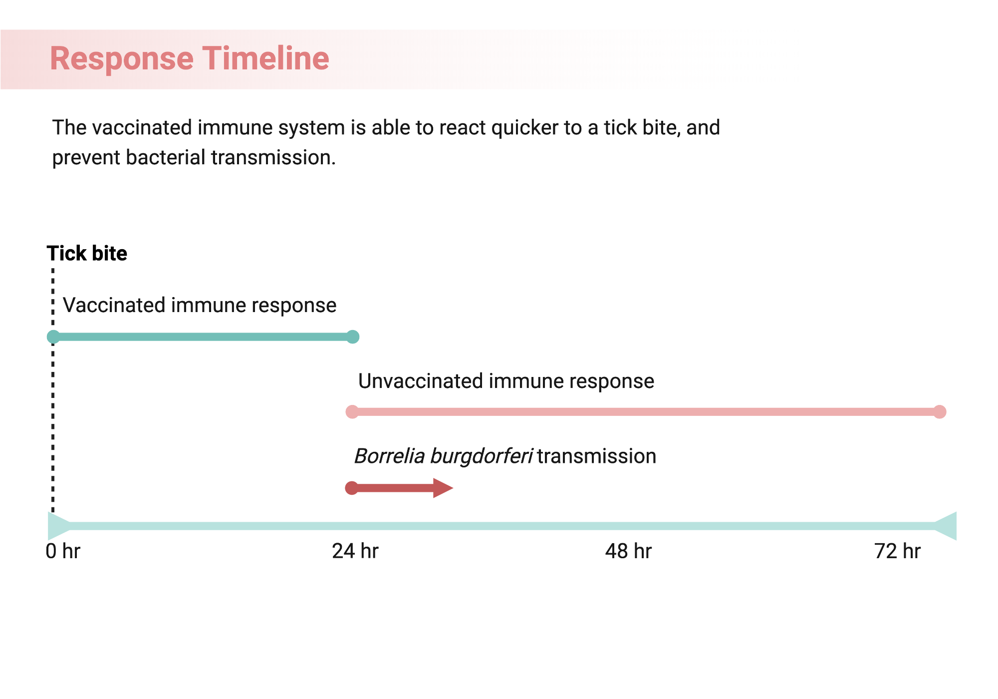 Response Timeline Lyme Disease BioRender Science Templates