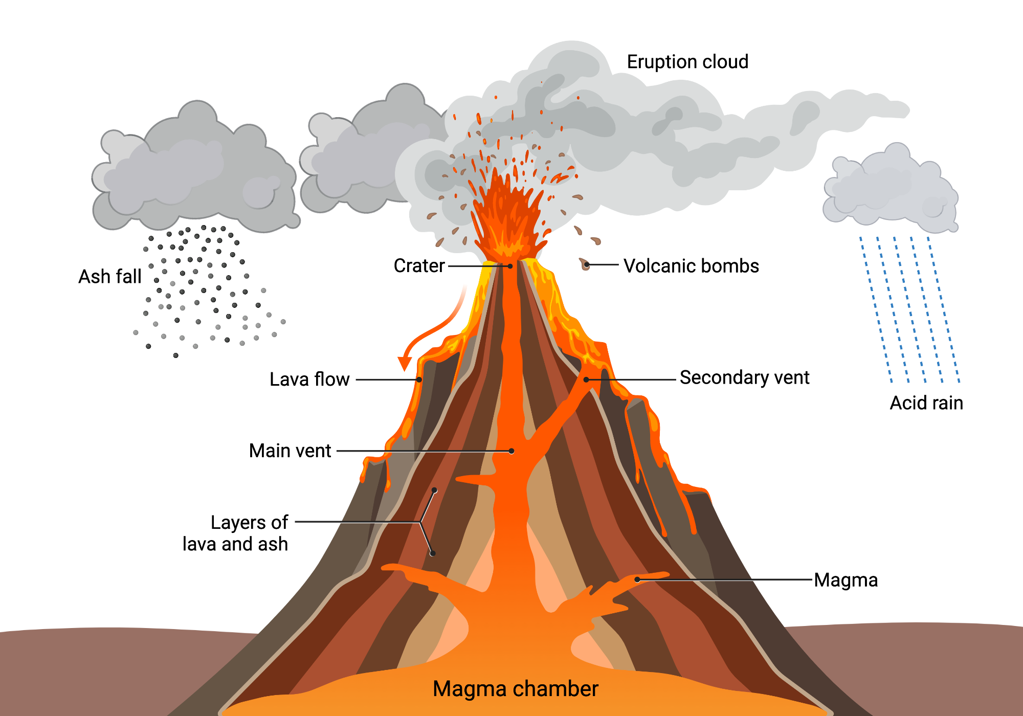 Volcano Anatomy BioRender Science Templates