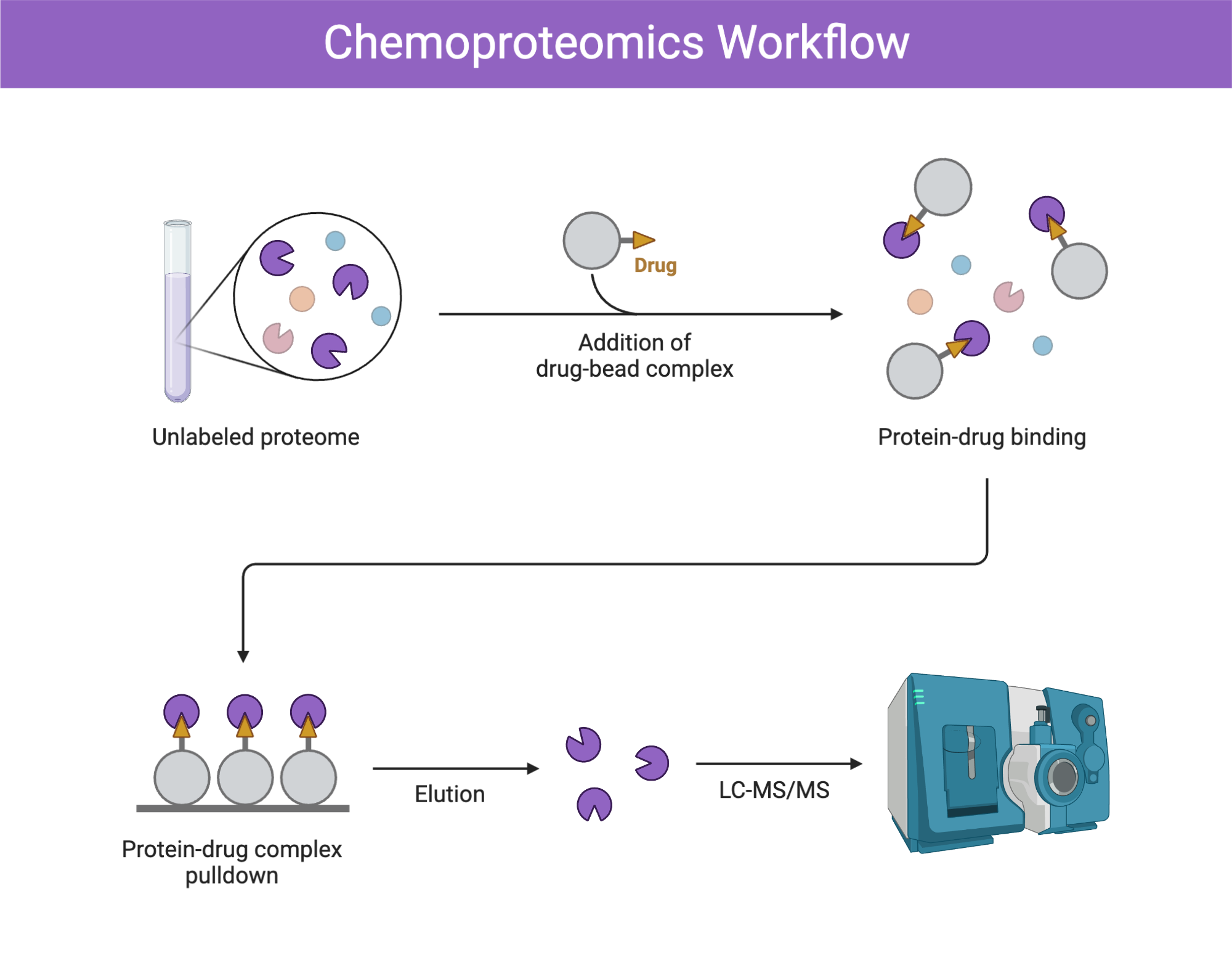 Chemoproteomics Workflow | BioRender Science Templates